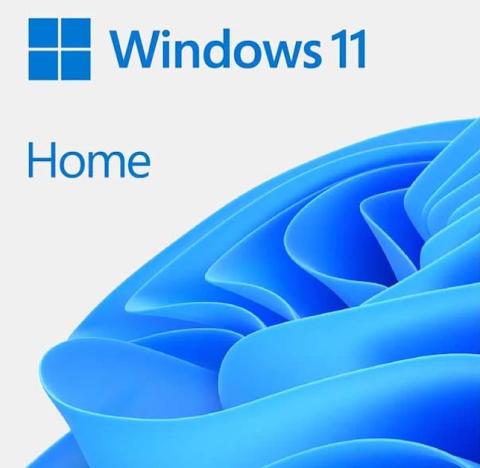 Microsoft Windows 11 Home